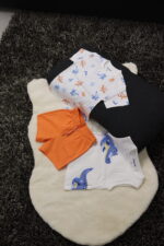 Shorts-Set und 2 T-Shirts
