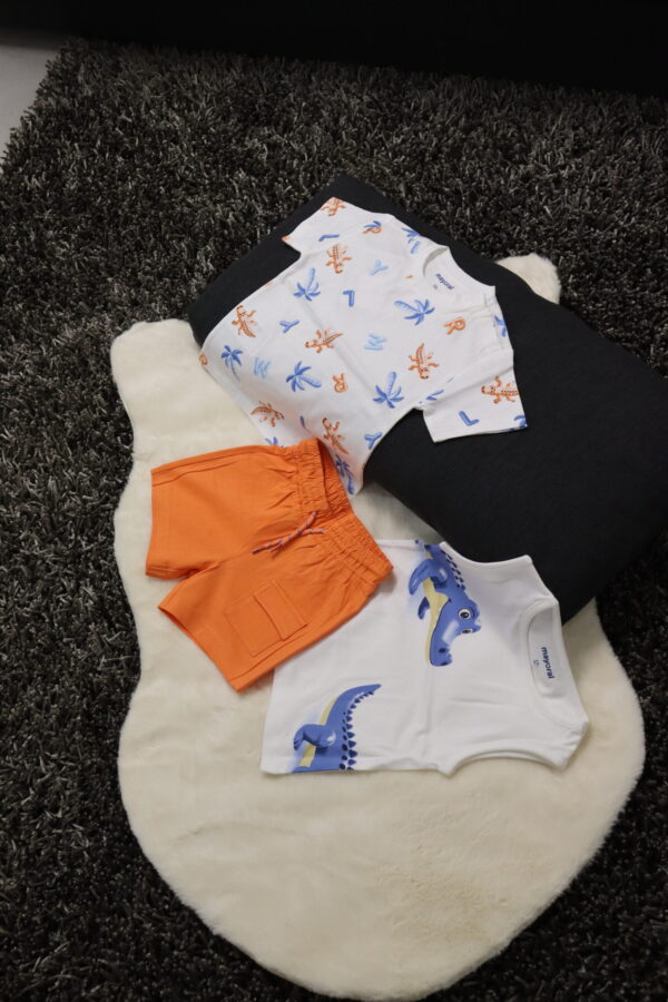 Shorts-Set und 2 T-Shirts